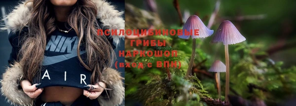 твердый Аркадак
