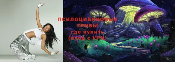 гашик Арсеньев