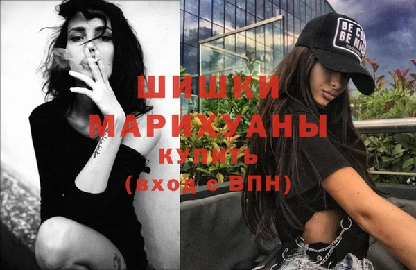 гашик Арсеньев