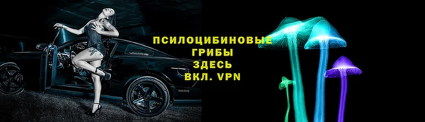 гашик Арсеньев