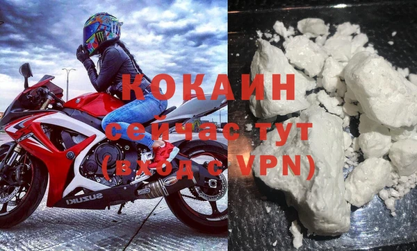 гашик Арсеньев