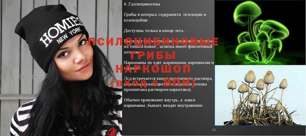 гашик Арсеньев