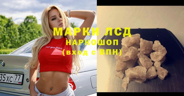 гашик Арсеньев