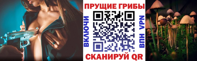 Купить где  Краснотурьинск  Псилоцибиновые грибы ЛСД 